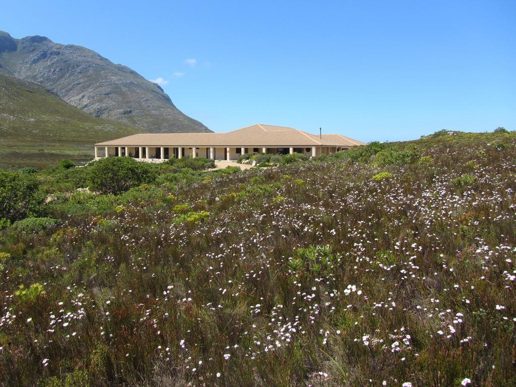 Kapensis Guesthouse خليج برينغل. المظهر الخارجي الصورة