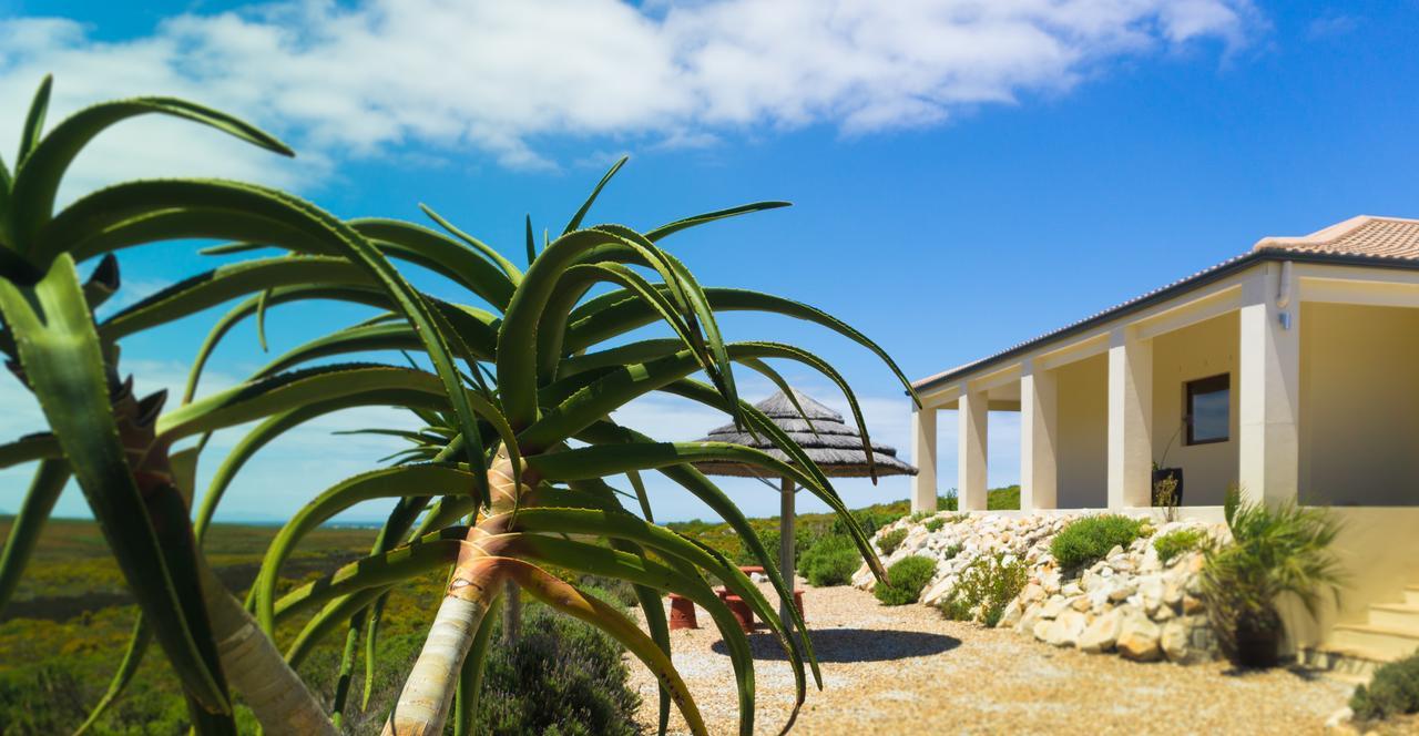 Kapensis Guesthouse خليج برينغل. المظهر الخارجي الصورة